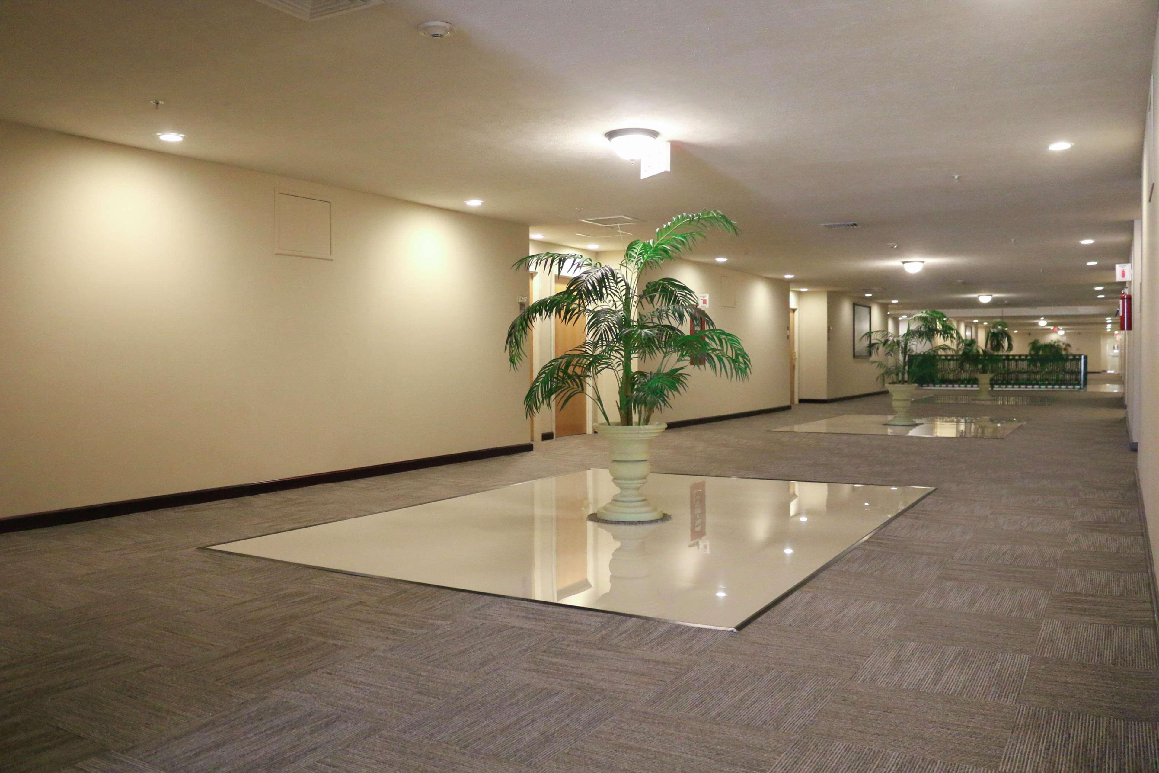 Hampton Inn Tampico Zona Dorada Εξωτερικό φωτογραφία